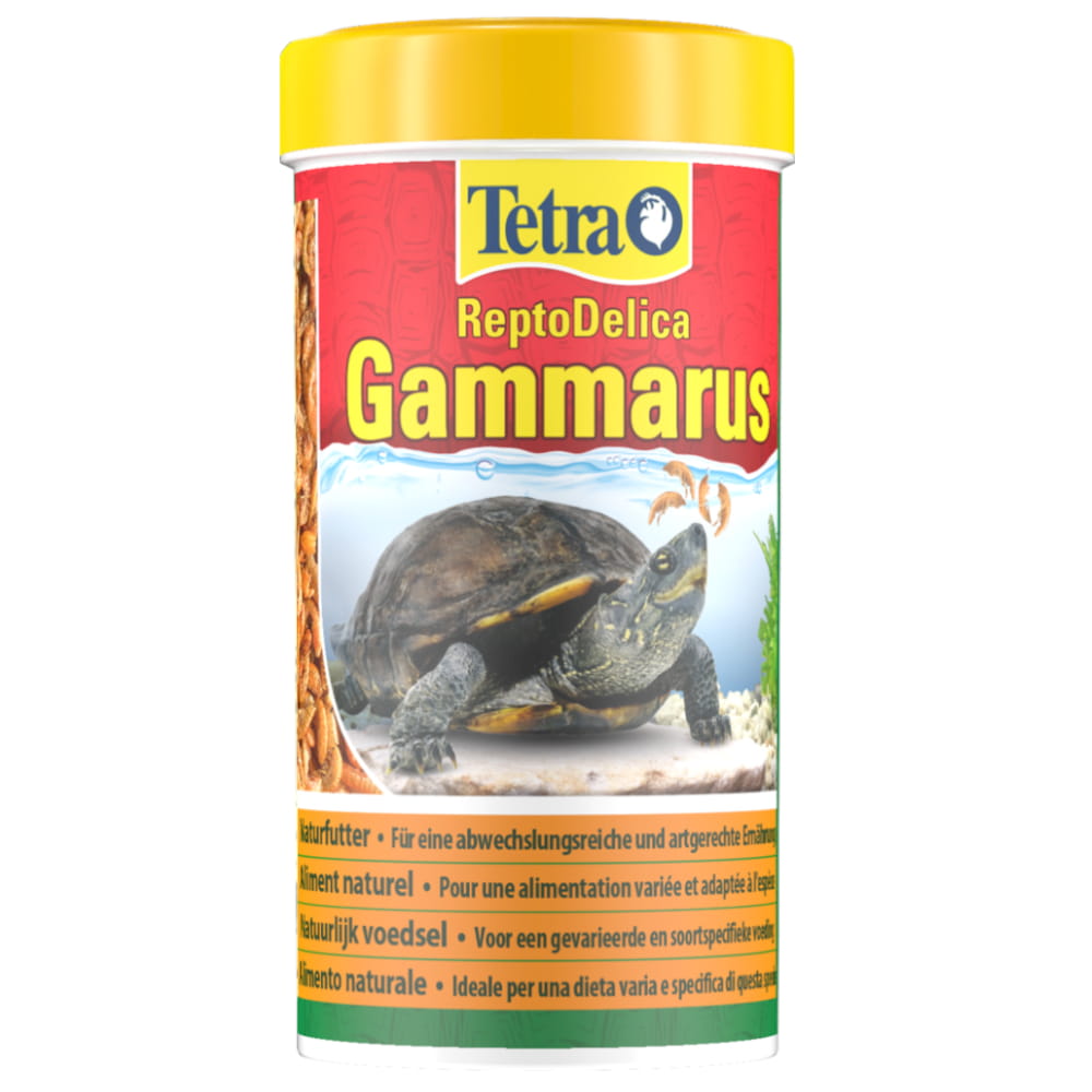 kiełż suszony3.JPG